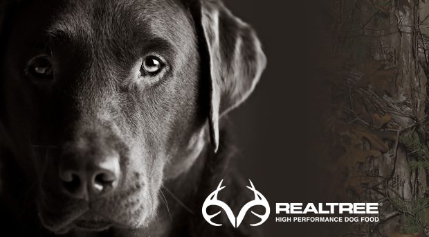Realtree Wallpaper Background Download.
