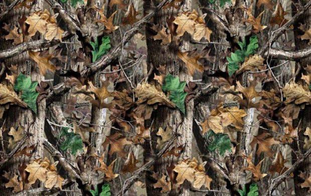 Realtree Wallpapers High Definition.