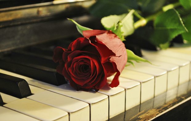 Rose and Piano Wallpaper.