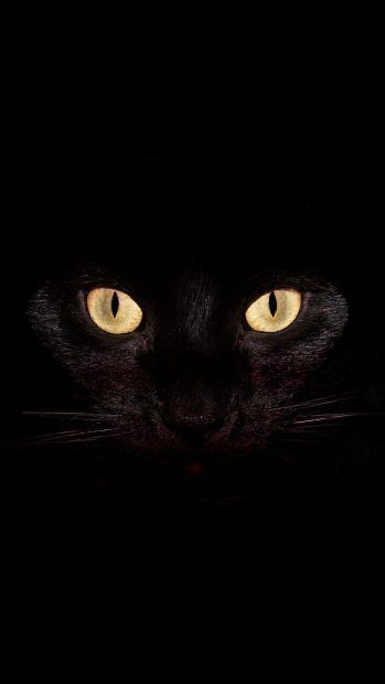 Scary halloween background black iphone 6 plus wallpaper.