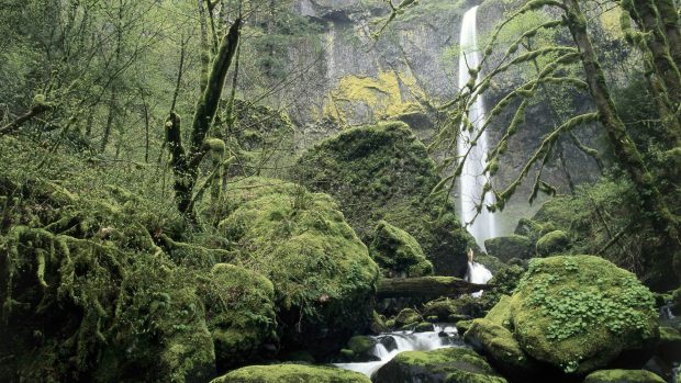 Scenic oregon waterfall 1920x1080 wallpapers.