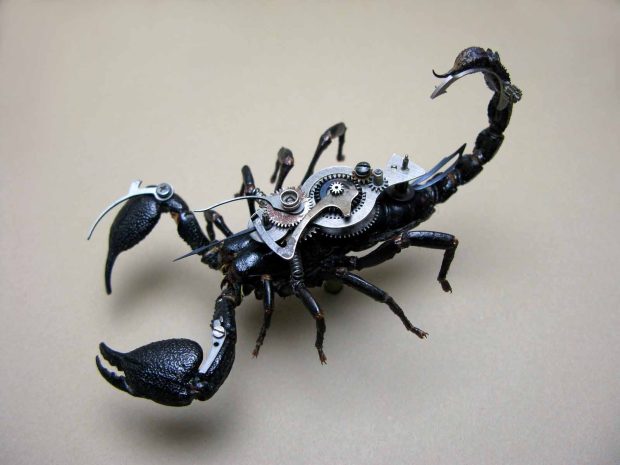 Scorpion Desktop Background.