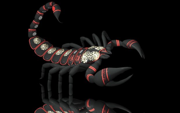 Scorpion HD Photo.