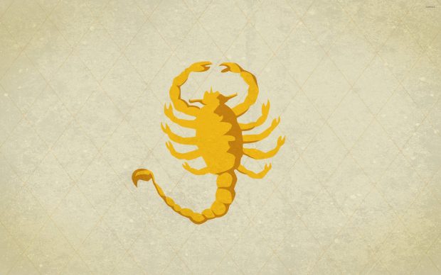 Scorpion Picture.
