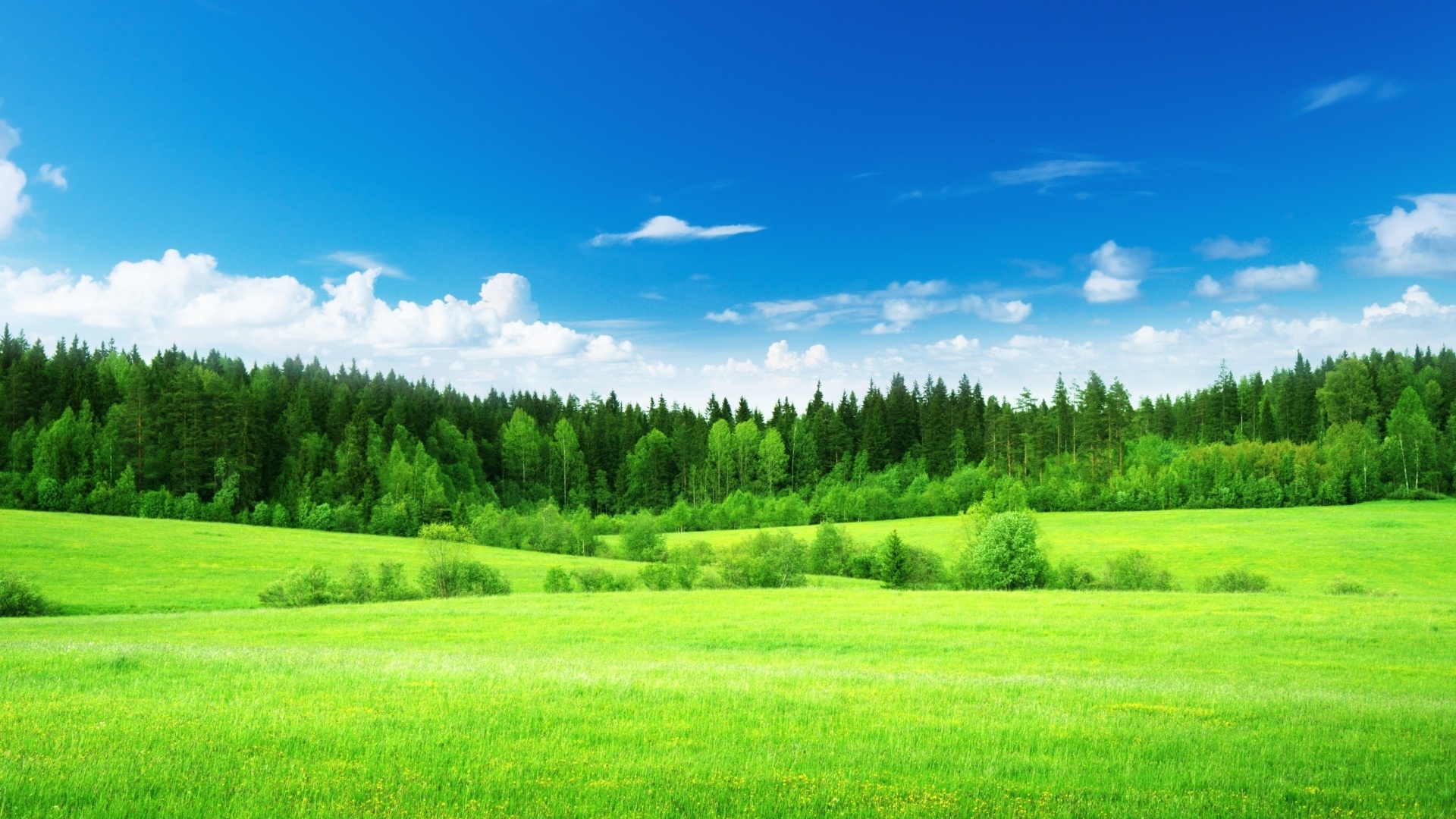 природа река деревья поле трава облака небо nature river trees field grass clouds the sky без смс