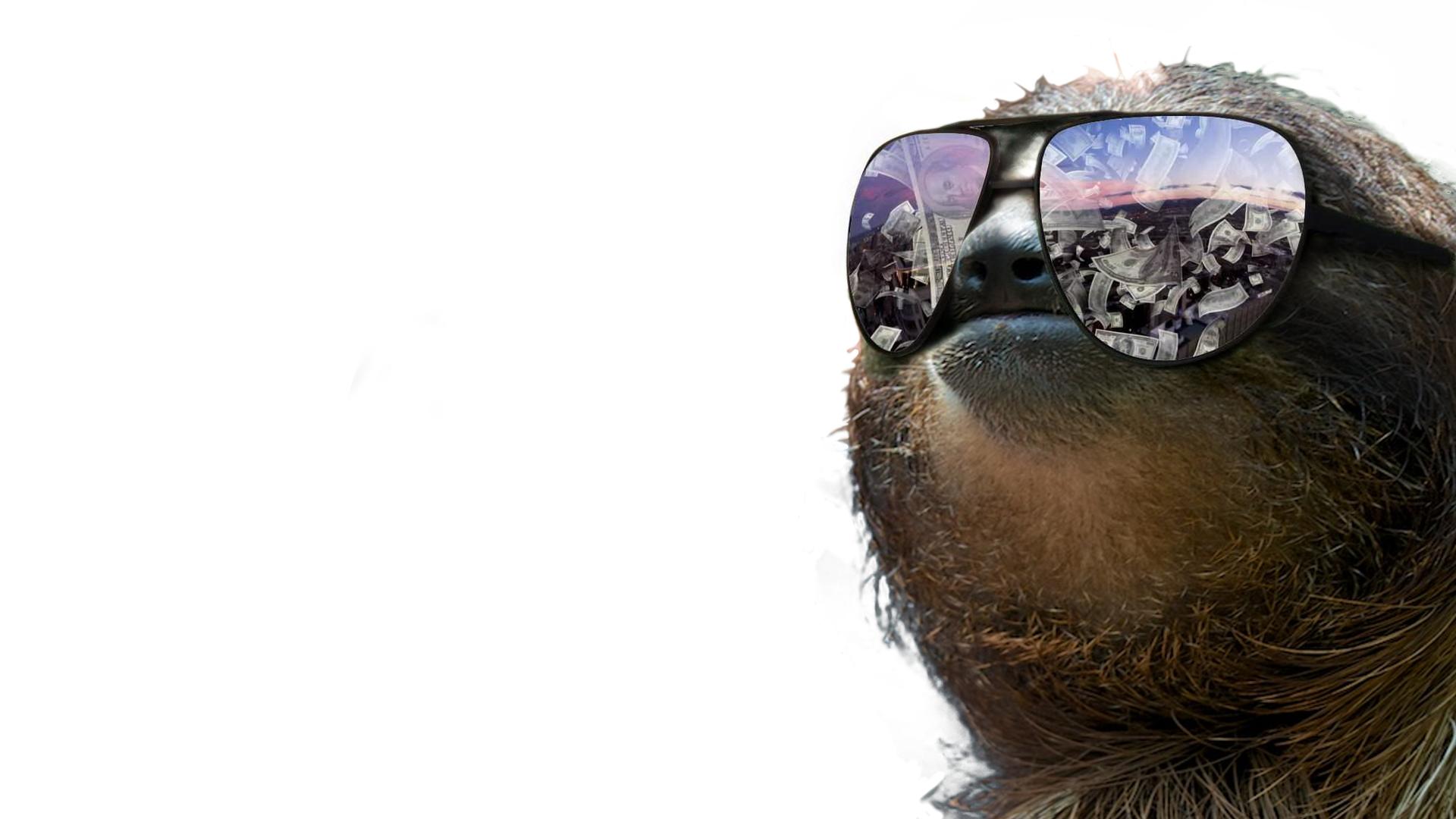 Free Download Sloth Wallpapers | PixelsTalk.Net