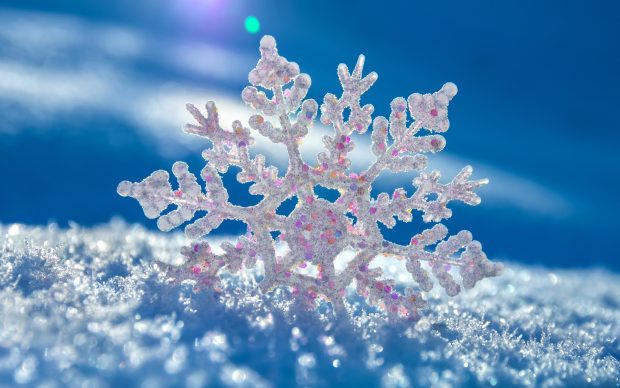 Snowflake Wallpaper HD Free Download.