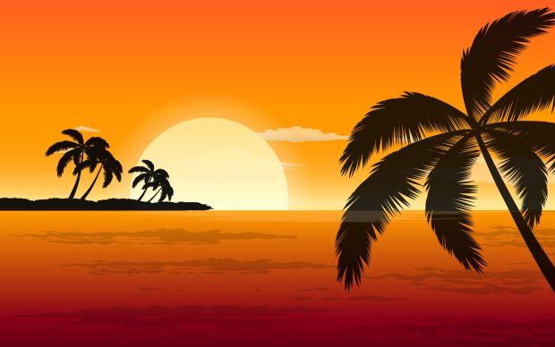 Sunset Orange Vector Shadows Palm Trees Fresh New Hd Wallpaper.