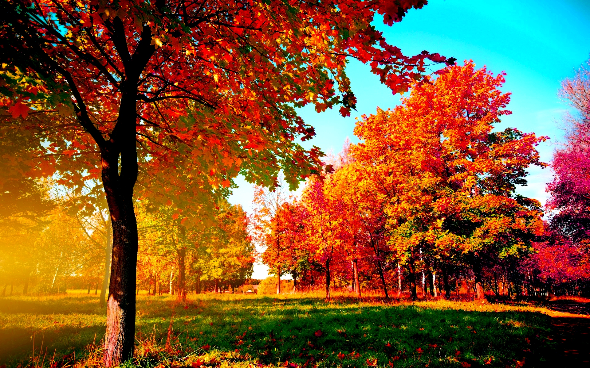 Fall Backgrounds Free Download