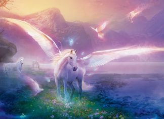 Unicorn Backgrounds Free Download.