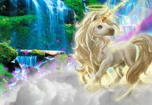 Unicorn HD Wallpapers For Desktop.