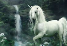 Unicorn Wallpapers HD Free Download.