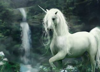 Unicorn Wallpapers HD Free Download.