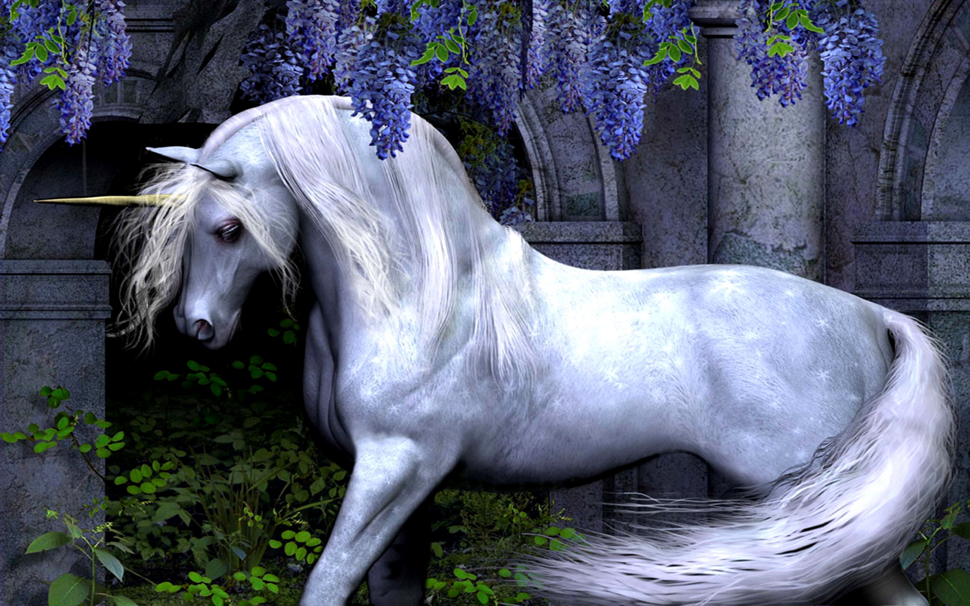 Unicorn Wallpapers HD Media File PixelsTalkNet