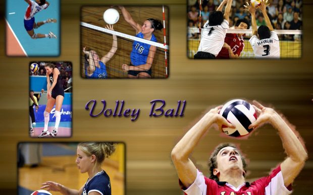 Volleyball wallpaper download.