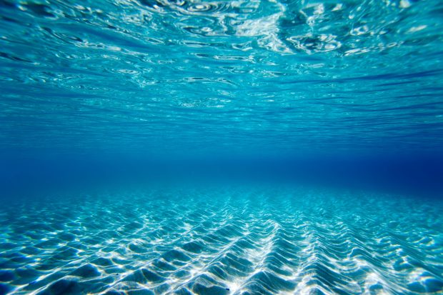 Wallpaper underwater view of the clear water.