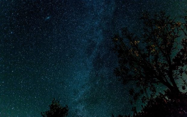 Wallpapers hd space trees stars starry night.