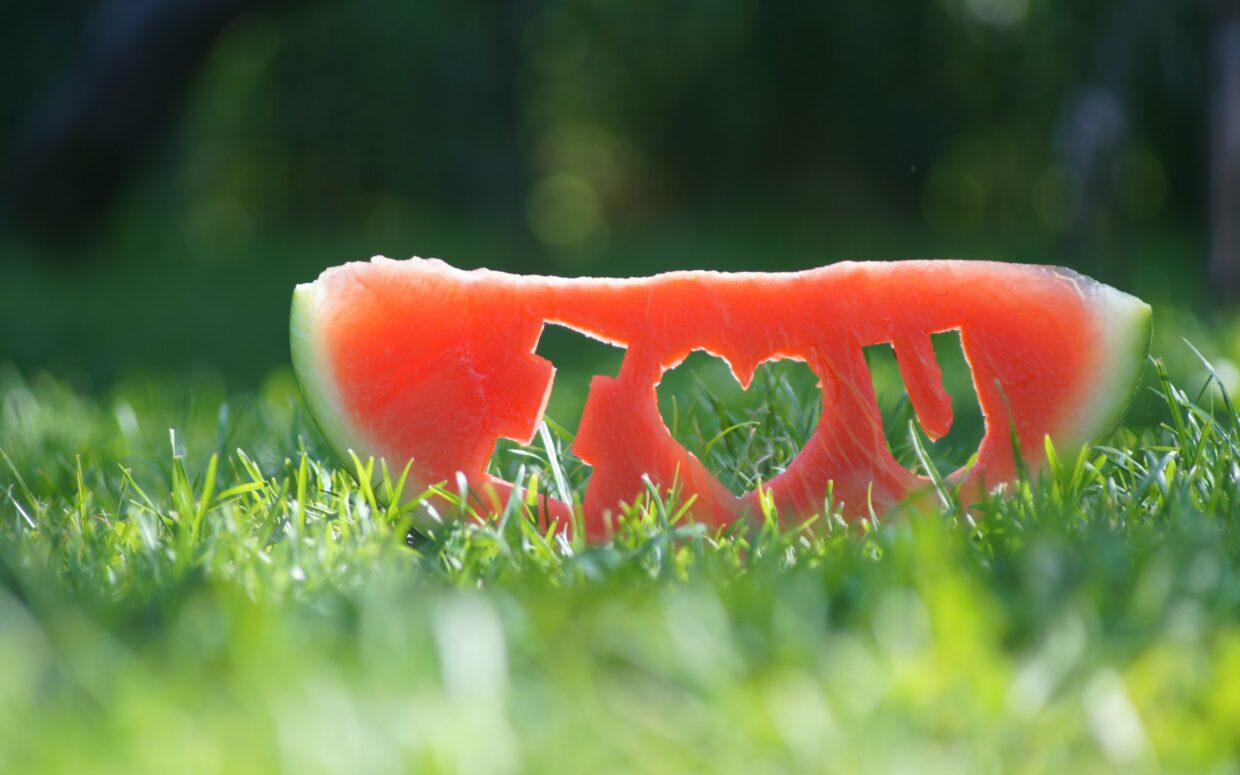Watermelon Backgrounds - PixelsTalk