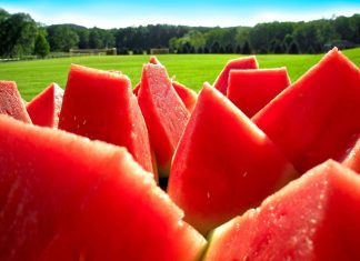 Watermelon Wallpaper Free Download.