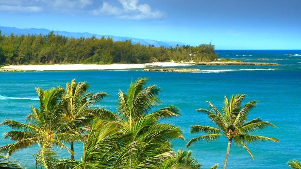 Windy beach in hawaii.