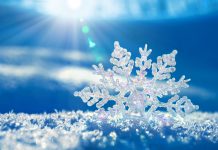 Winter Backgrounds.