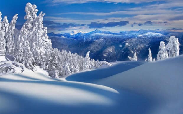 Snow-covered forest and mountain landscape in winter.