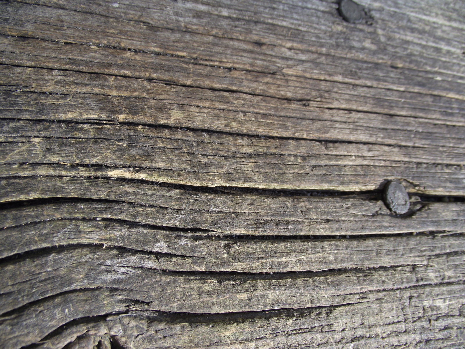 Wood Grain Imgae by juutin stock.