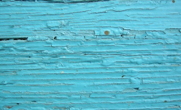 Wood plank with shriveled light blue paint.