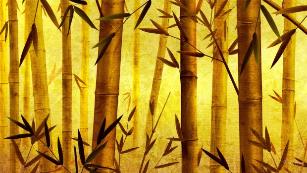 Yellow bamboo wallpaper 1920x1080.