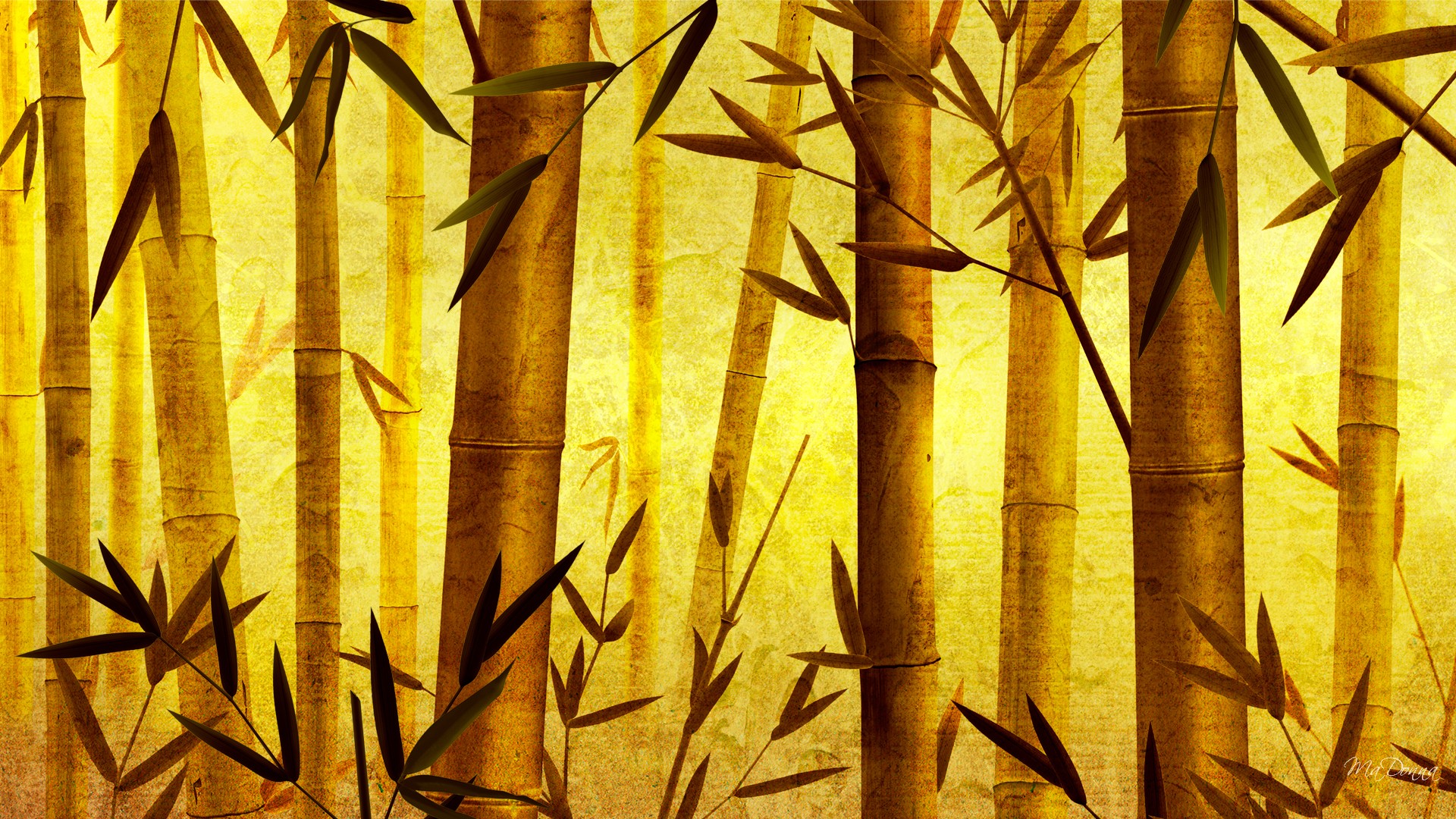 HD Bamboo Backgrounds Download