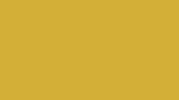 Yellow solid color wallpaper HD.