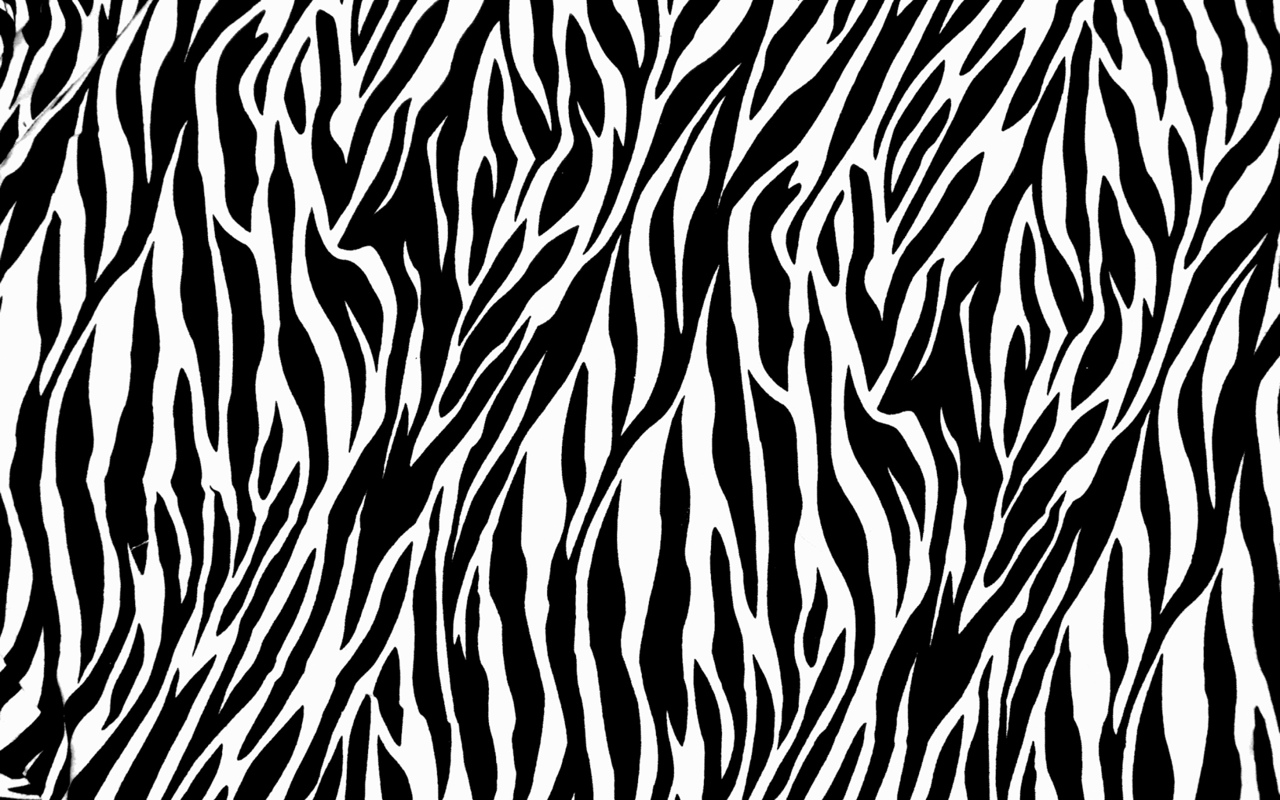 Zebra Print Wallpaper HD For Desktop.