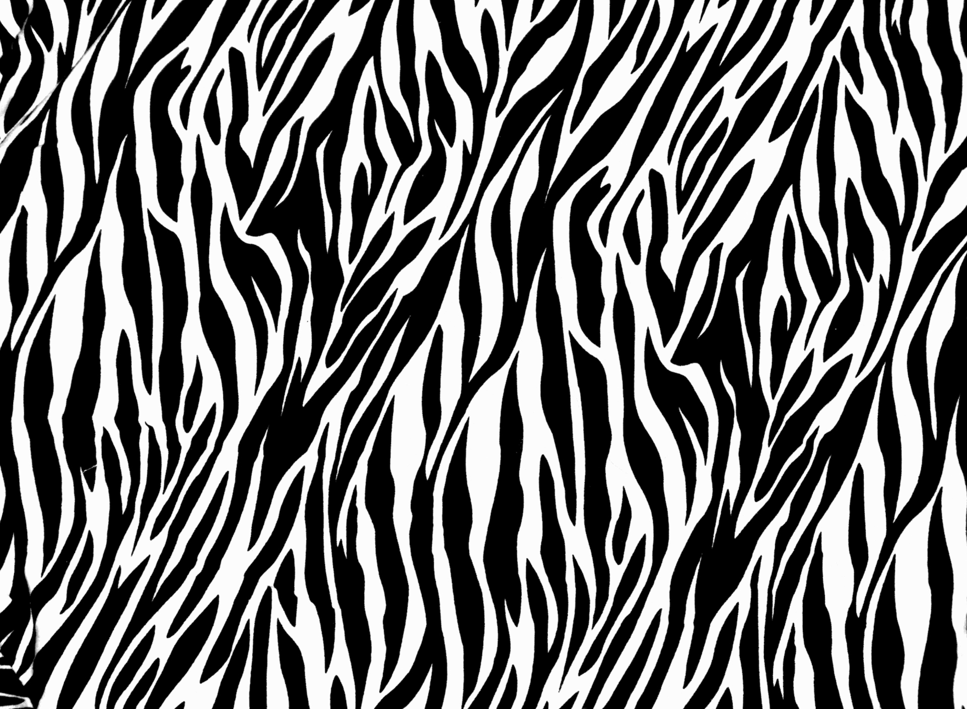Zebra Print Wallpaper HD 