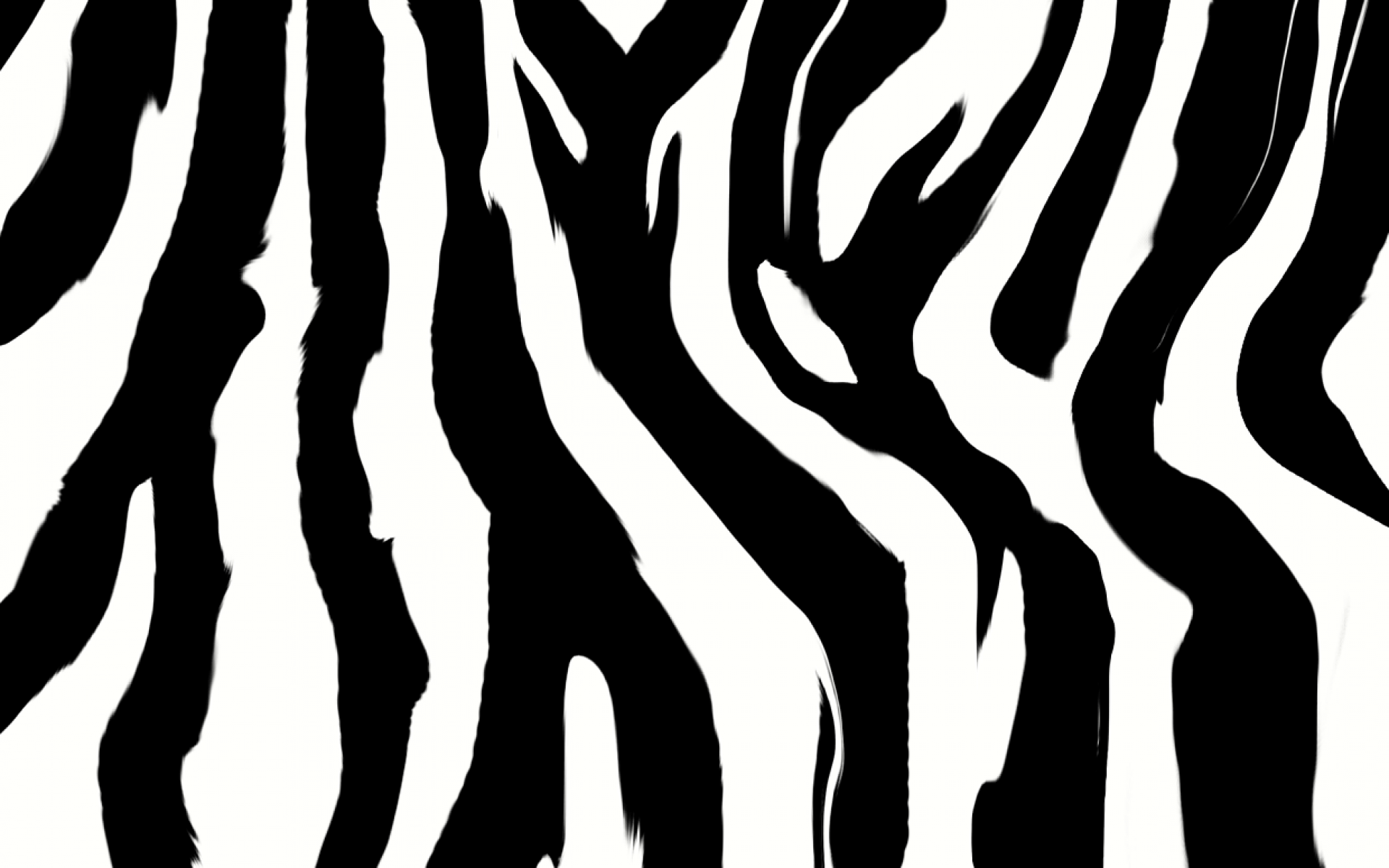 Zebra Print Wallpaper HD.