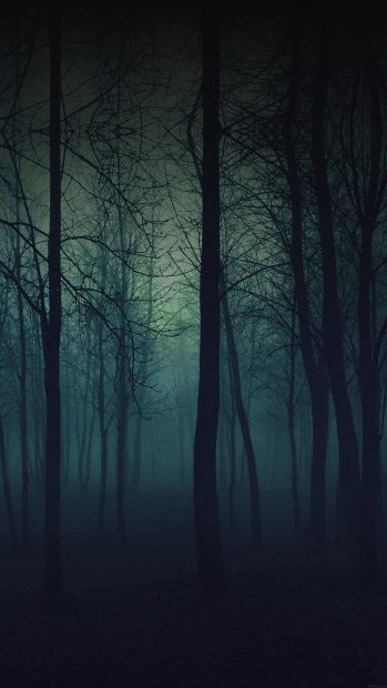 eerie forest night iphone 6 plus hd wallpaper.