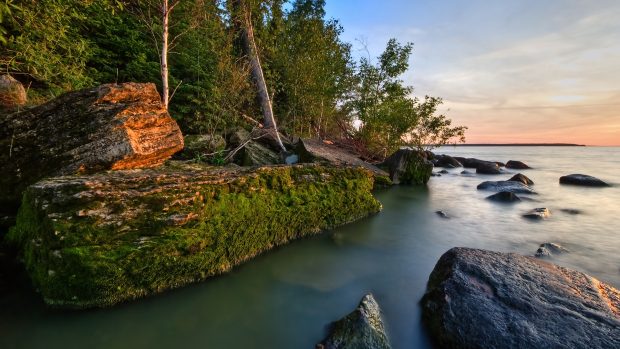 nature hd wallpapers forest and water.