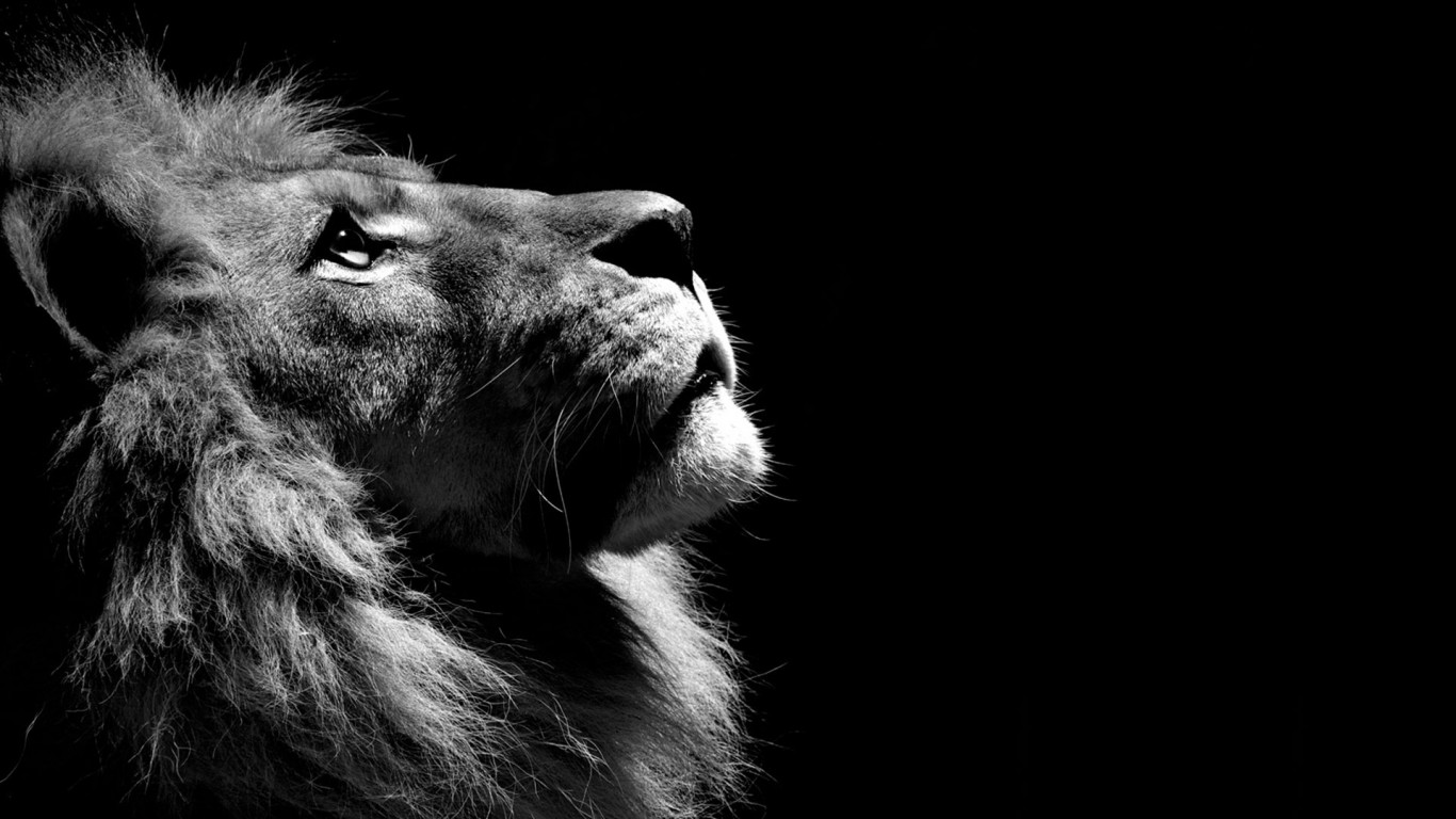 1366x768 Images Free Download 1366x768 Images Free Download