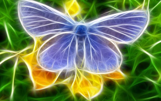 3D Butterfly awesome hq images.