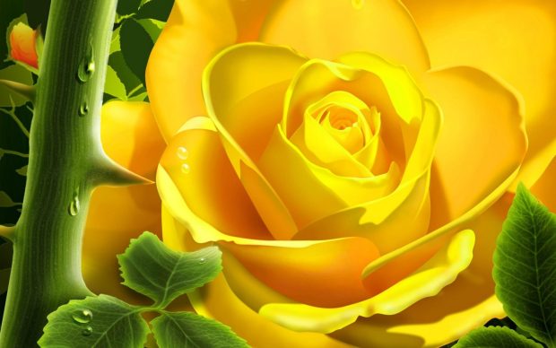 3D yellow rose 3d pictures.