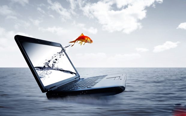 3d fish come out from laptop screen wallpaper.