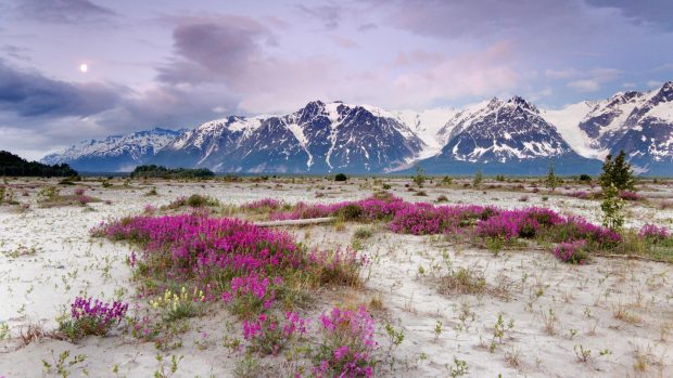 Alaska Background Download Free.