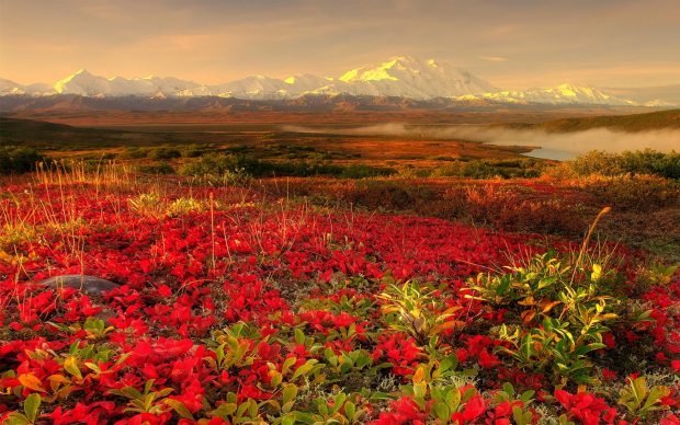 Alaska Desktop Image.
