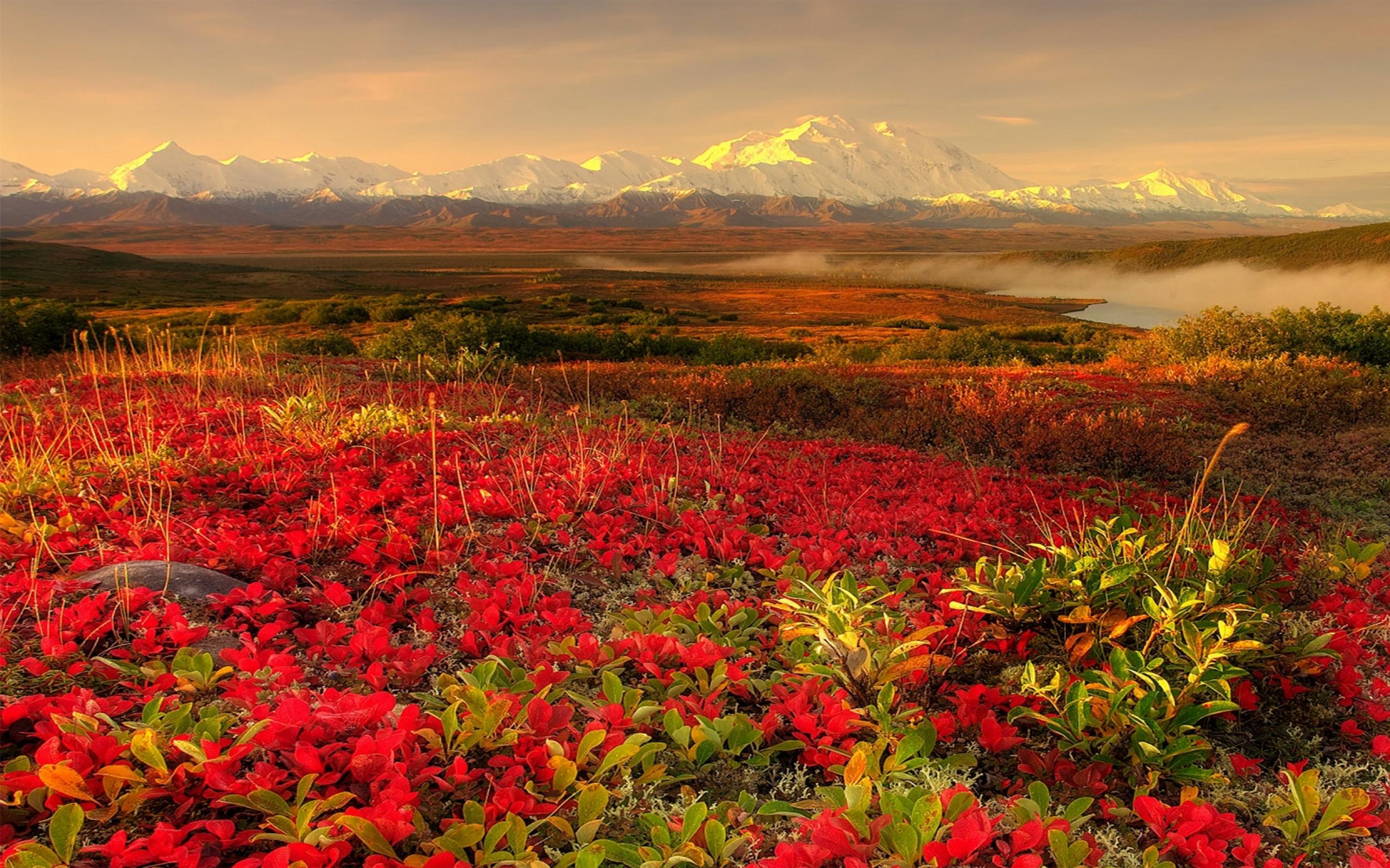 Download Free Alaska Backgrounds | PixelsTalk.Net