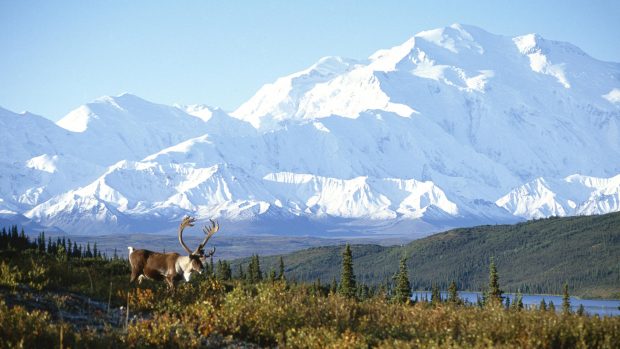 Alaska HD Background.
