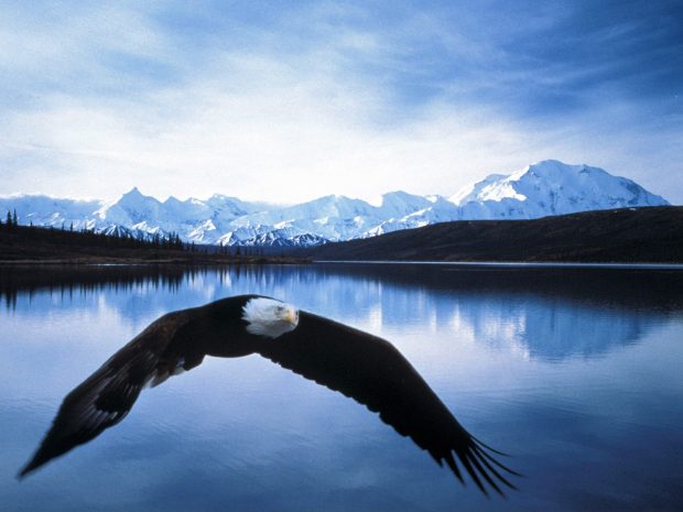 Alaska Images.