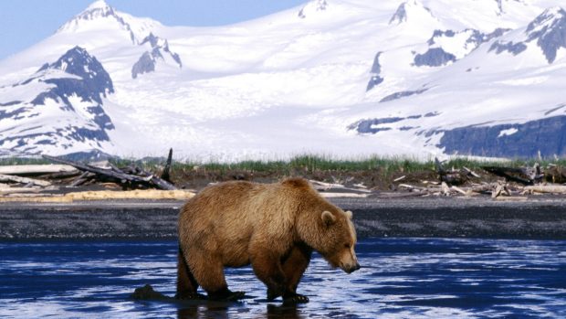 Alaska Picture HD.