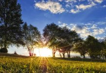 Amazing Backgrounds HD 1080p Free Download.