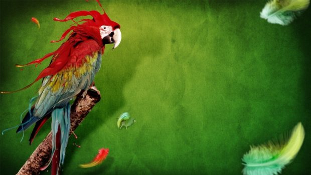 Amazing Parrot Wallpaper 3D.