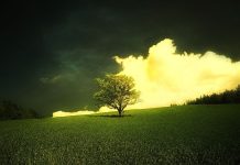 Amazing Photos High Quality.
