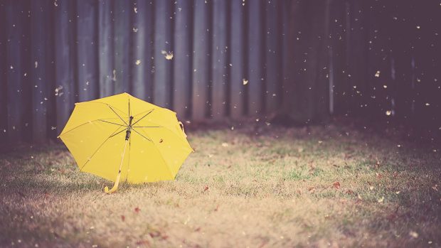 Amazing Yellow Umbrella Wallpaper Background.